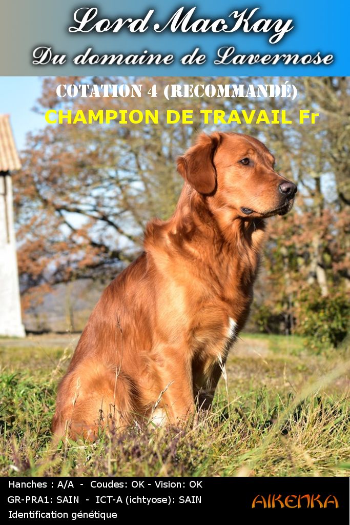 CH. Lord mackay Du Domaine De Lavernose